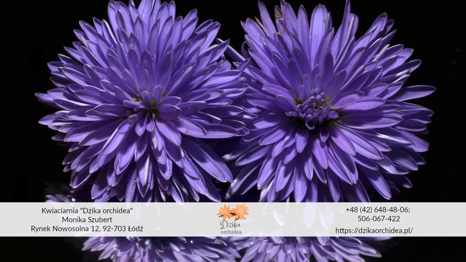 Jesienne kwiaty ogrodowe