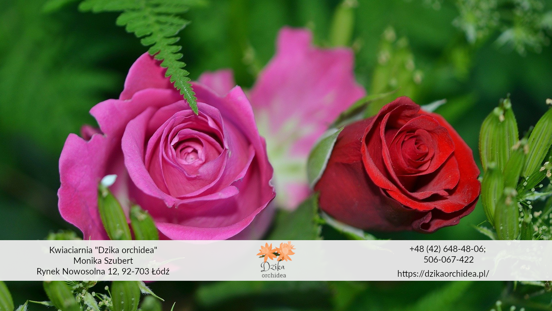najpopularniejsze kwiaty na Święto Zmarłych róże