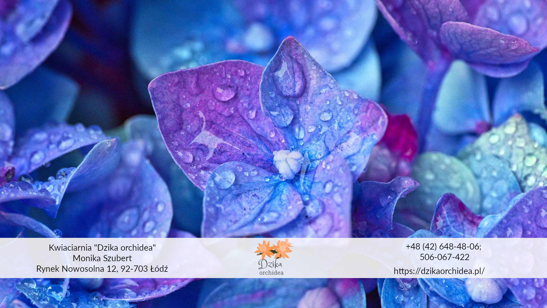 Bukiet ślubny niebieski – z jakich kwiatów2