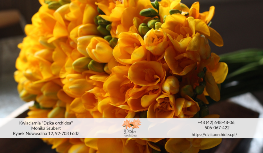 Frezja bukiet Frezje kwiaty 🌸 – subtelne, pachnące i pełne uroku! Symbol niewinności i przyjaźni, idealne do bukietów ślubnych i wiosennych kompozycji 💐✨