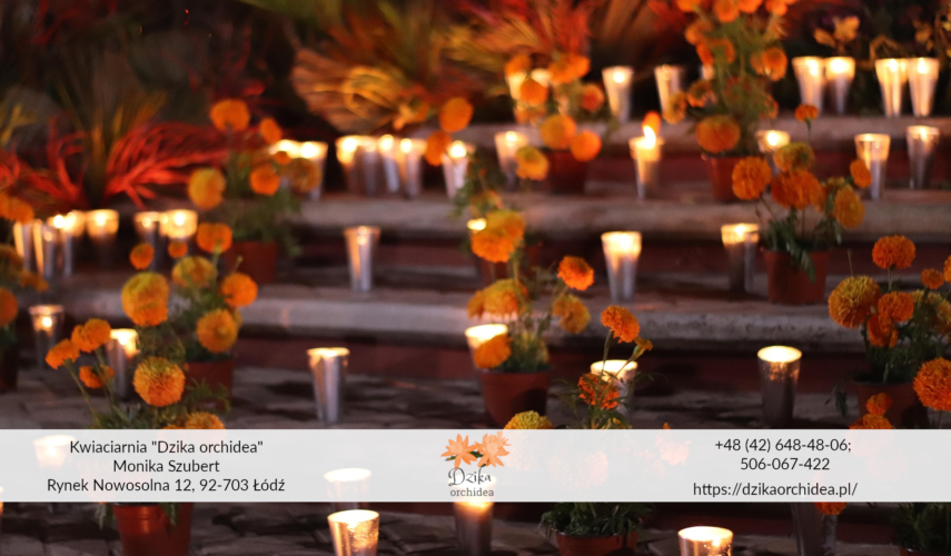 Chryzantemy na cmentarz Chryzantemy złociste tekst stroiki z chryzantem na Wszystkich Świętych