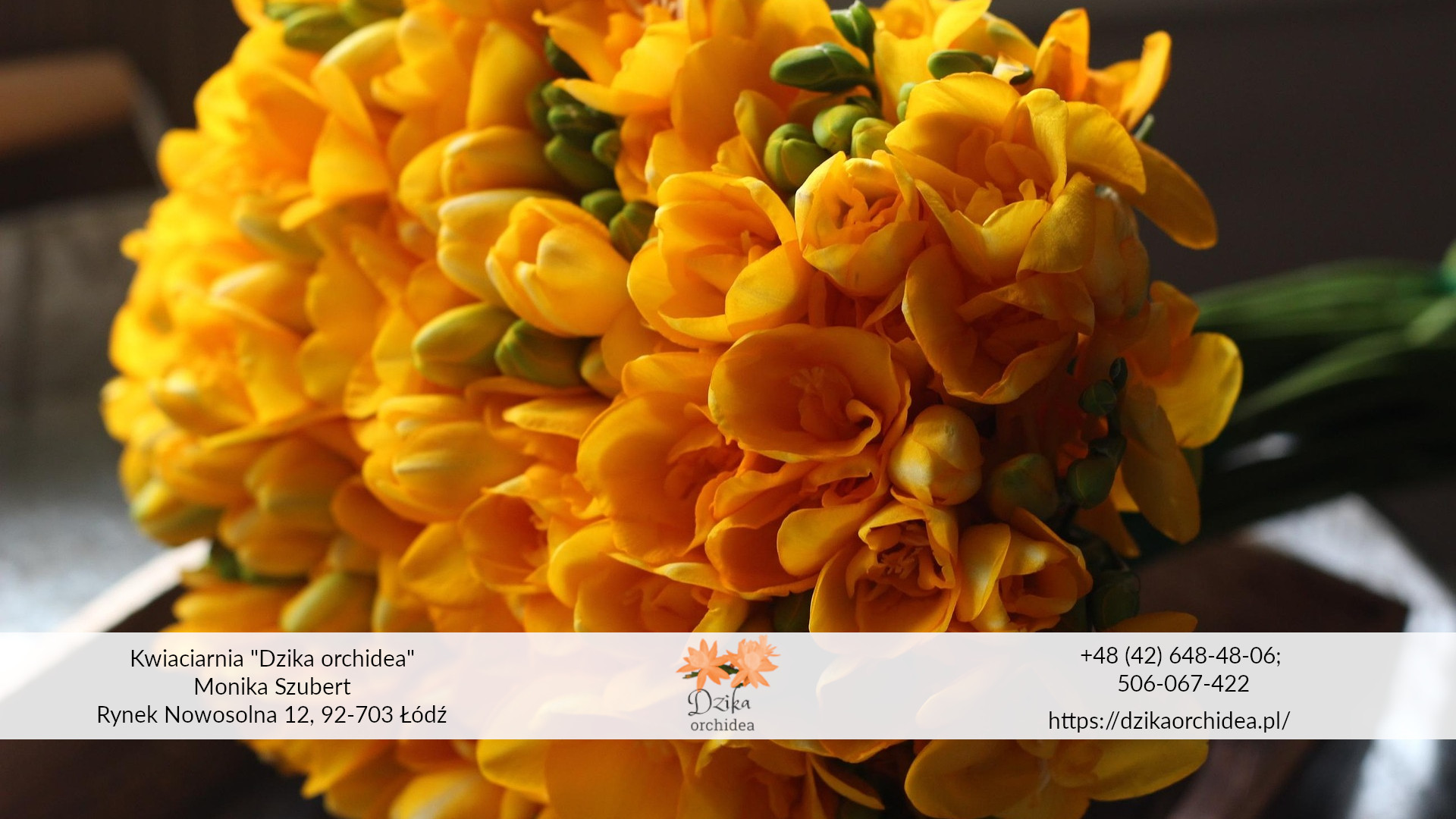 frezje w doniczce bukiet żółty Frezje cebulki