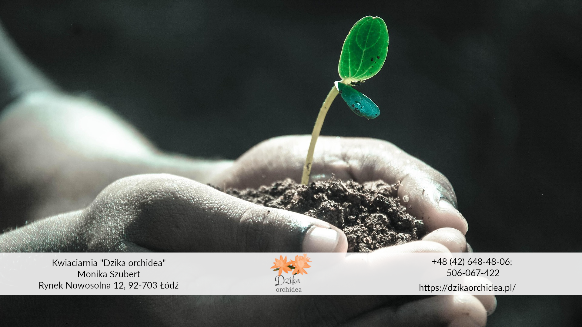 Najlepsza gleba dla kwiatów