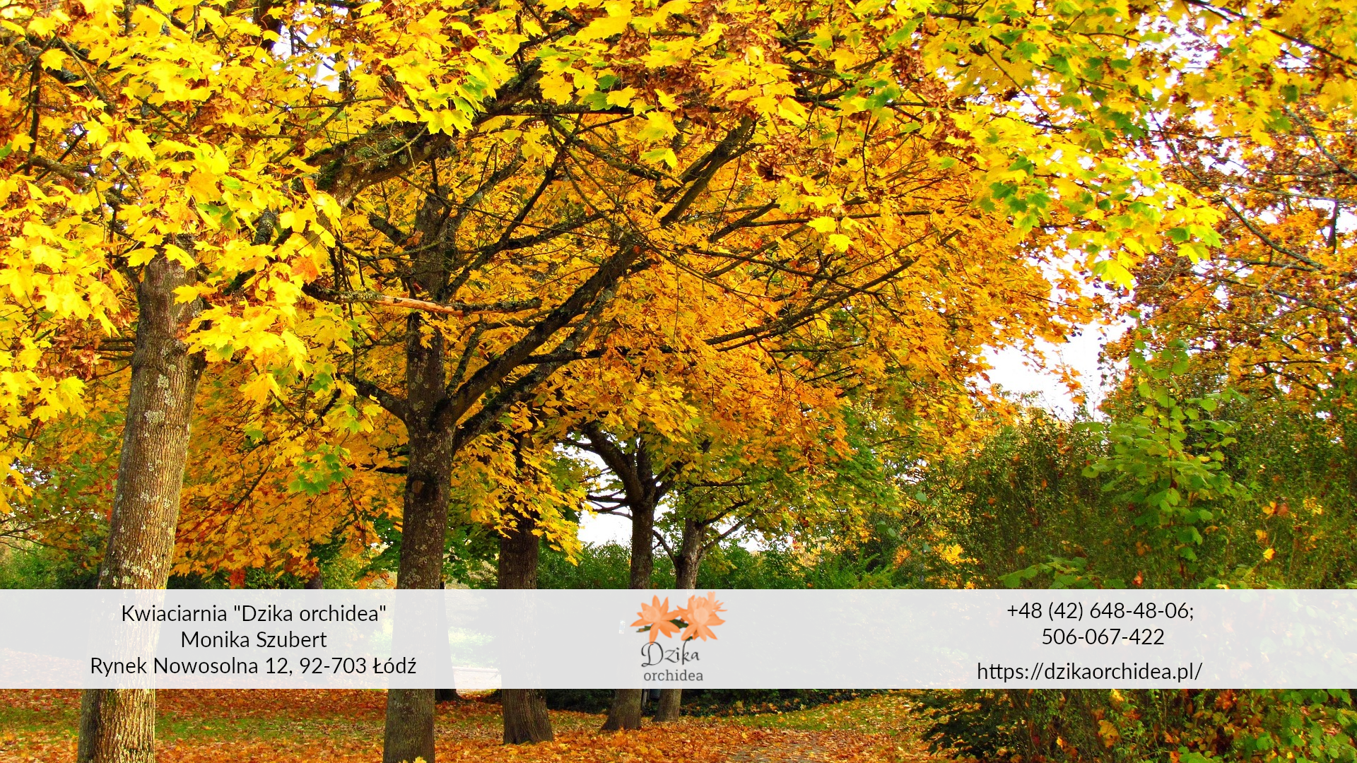 jak przygotować ogród na zimę liście