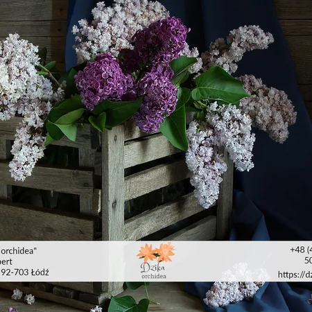 Flower box jesienny