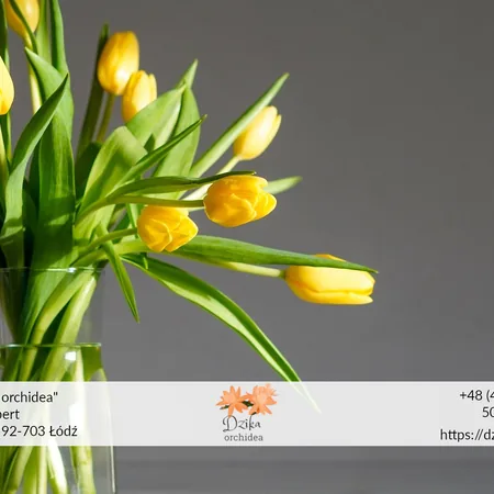 Tulipany w wazonie